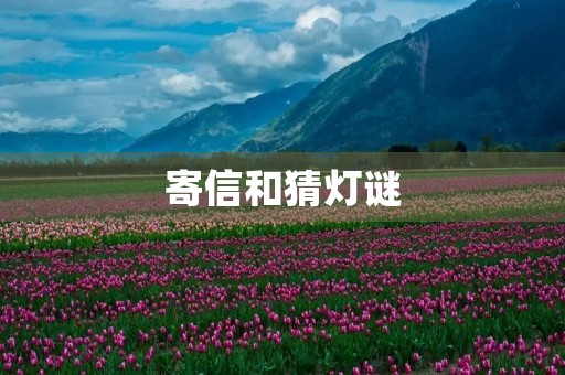 寄信和猜灯谜 寄信和猜灯谜