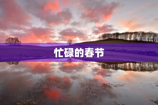 忙碌的春节 忙碌的春节