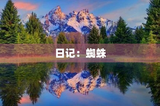 日记:蜘蛛 日记:蜘蛛