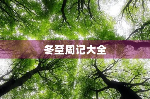 冬至周记大全 冬至周记大全