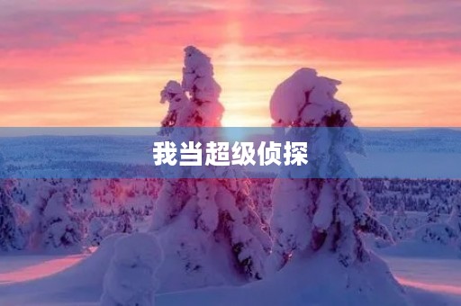 我当超级侦探
