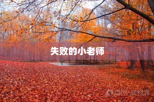 失败的小老师 失败的小老师