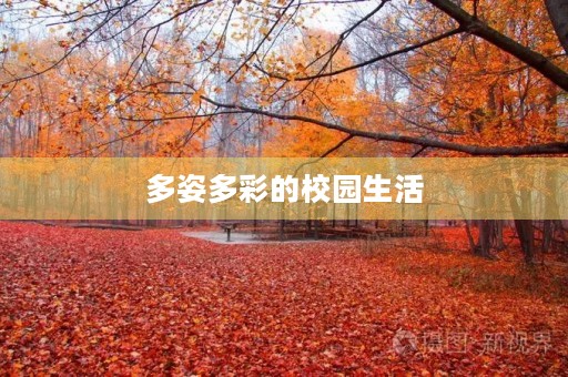 多姿多彩的校园生活 多姿多彩的校园生活