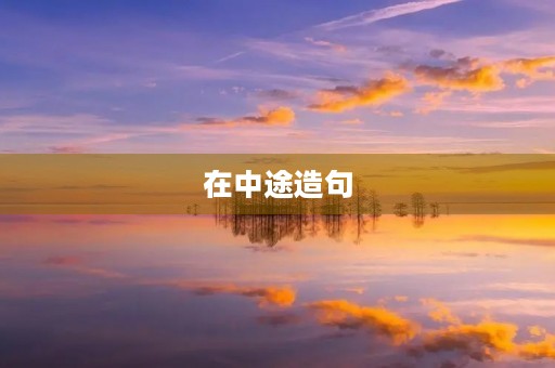 在中途造句 在中途造句