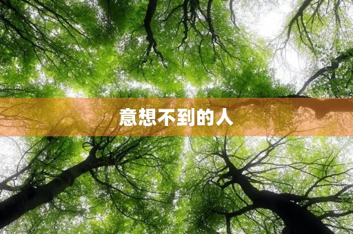 意想不到的人