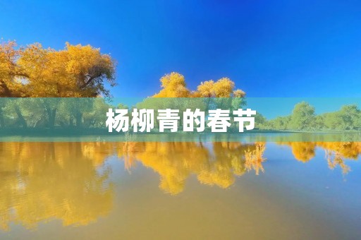 杨柳青的春节 杨柳青的春节