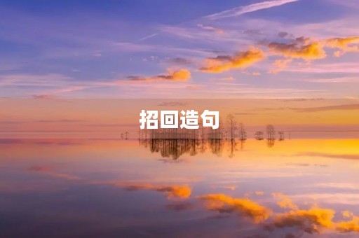 招回造句 招回造句