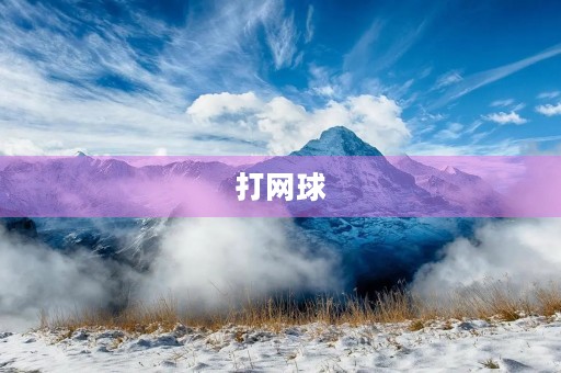 打网球 打网球