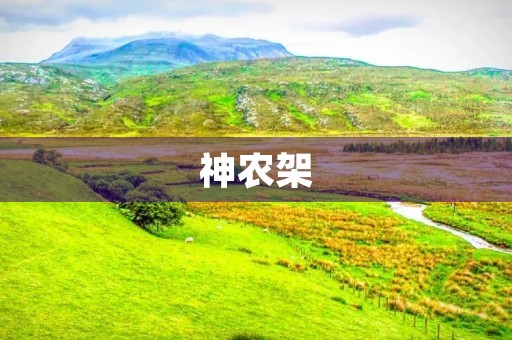 神农架