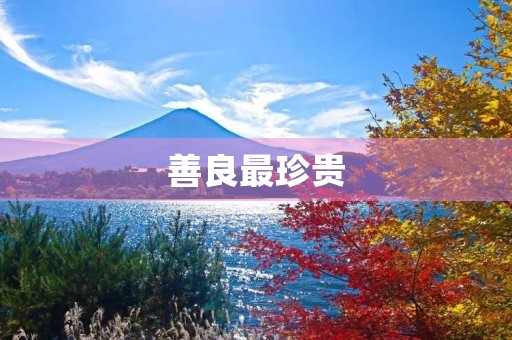 善良最珍贵