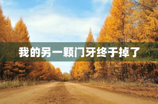 我的另一颗门牙终于掉了 我的另一颗门牙终于掉了