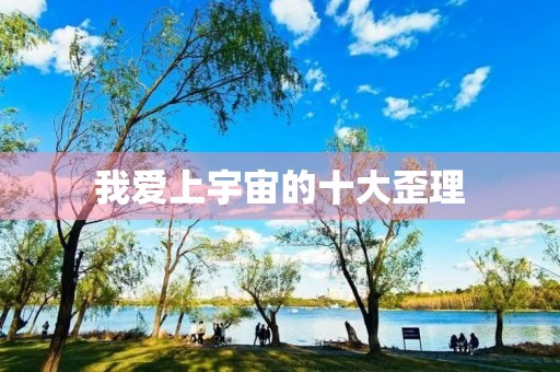 我爱上宇宙的十大歪理 我爱上宇宙的十大歪理