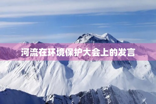 河流在环境保护大会上的发言