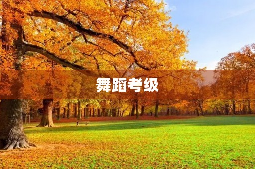舞蹈考级 舞蹈考级