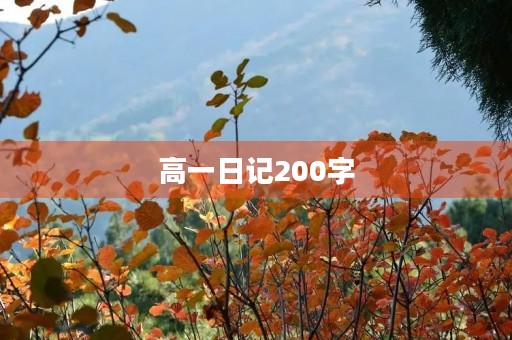 高一日记200字