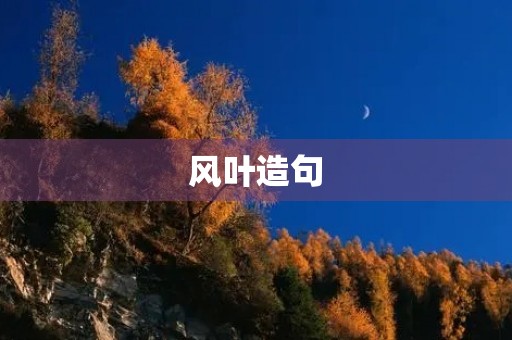风叶造句