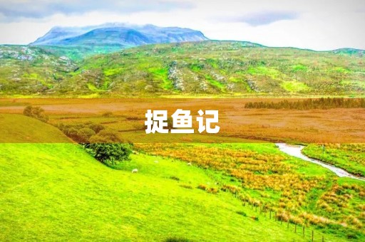 捉鱼记 捉鱼记