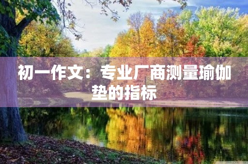 初一作文：专业厂商测量瑜伽垫的指标