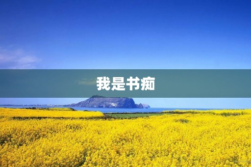 我是书痴 我是书痴