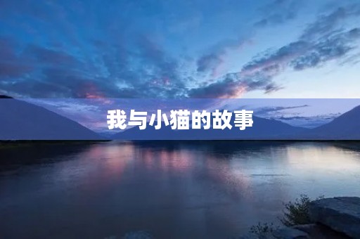 我与小猫的故事 我与小猫的故事