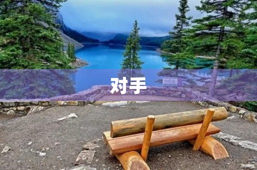 对手 对手