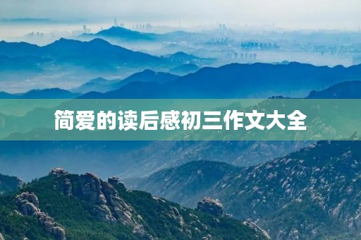 简爱的读后感初三作文大全