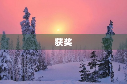 获奖 获奖