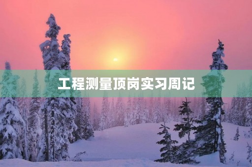 工程测量顶岗实习周记 工程测量顶岗实习周记