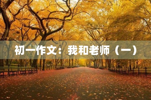 初一作文：我和老师（一）