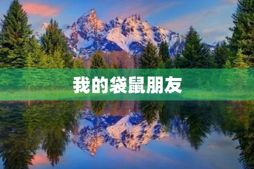 我的袋鼠朋友 我的袋鼠朋友