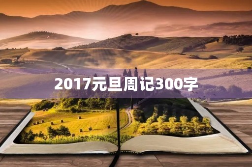 2017元旦周记300字