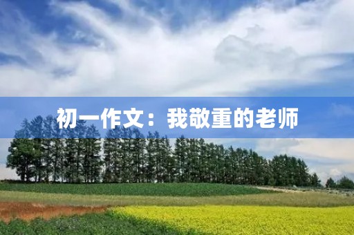 初一作文：我敬重的老师