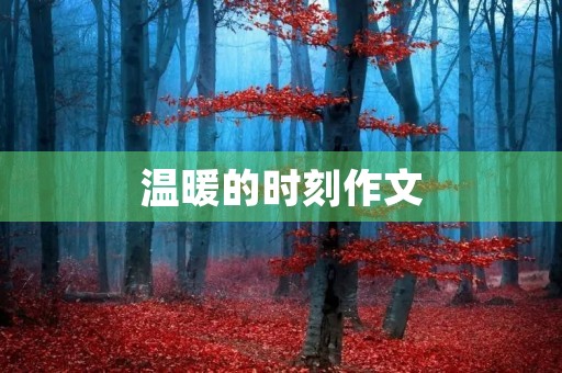 温暖的时刻作文