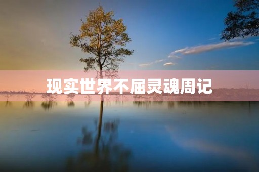 现实世界不屈灵魂周记
