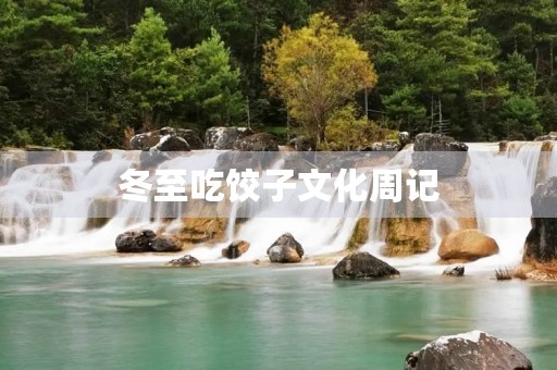 冬至吃饺子文化周记 冬至吃饺子文化周记