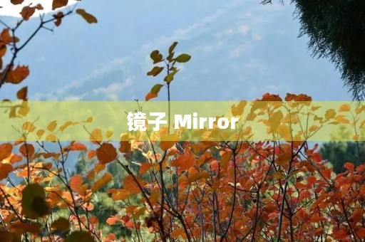 镜子 Mirror 镜子 Mirror