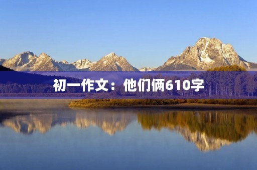 初一作文：他们俩610字
