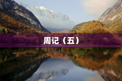 周记(五) 周记(五)