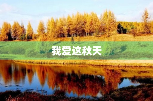 我爱这秋天