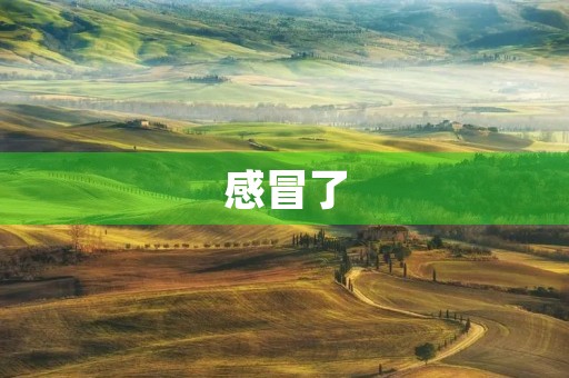 感冒了