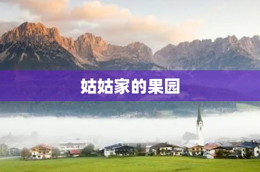 姑姑家的果园