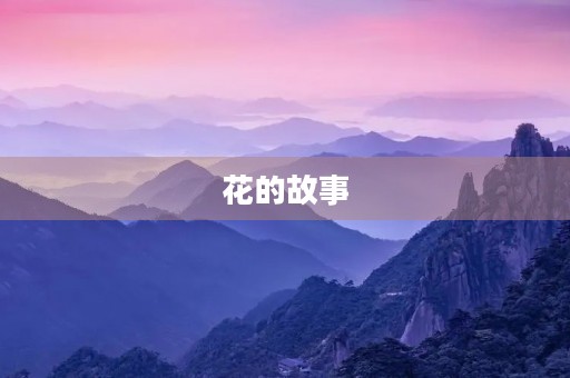 花的故事 花的故事