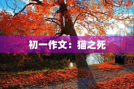 初一作文：猫之死
