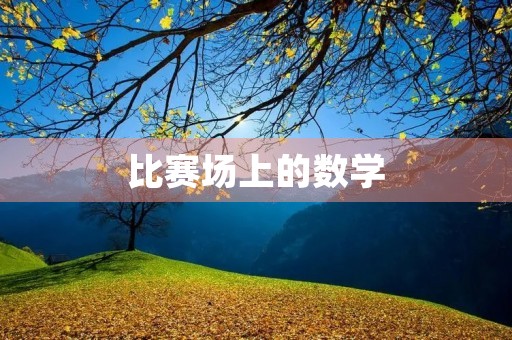 比赛场上的数学 比赛场上的数学