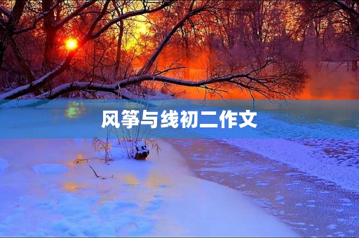 风筝与线初二作文