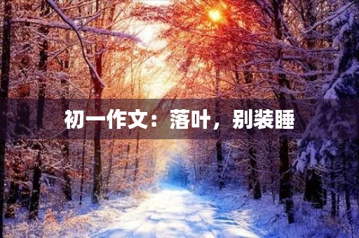 初一作文：落叶，别装睡