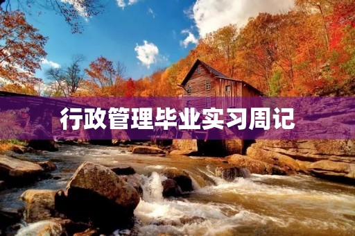行政管理毕业实习周记