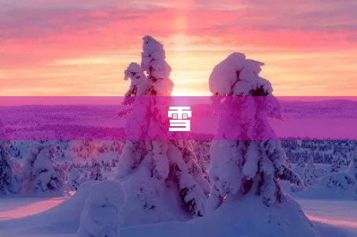 雪 雪