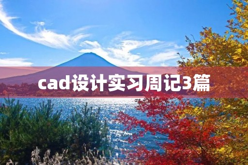 cad设计实习周记3篇