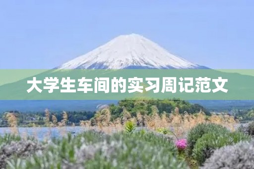 大学生车间的实习周记范文 大学生车间的实习周记范文